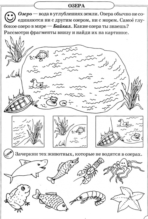 Рабочий лист по теме рыбы. Водоемы задания для дошкольников. Обитатели водоемов задания для дошкольников. Жители океана задания для дошкольников. Задания по географии для дошкольников.